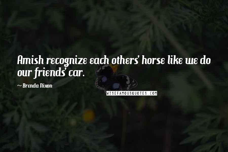 Brenda Nixon quotes: Amish recognize each others' horse like we do our friends' car.