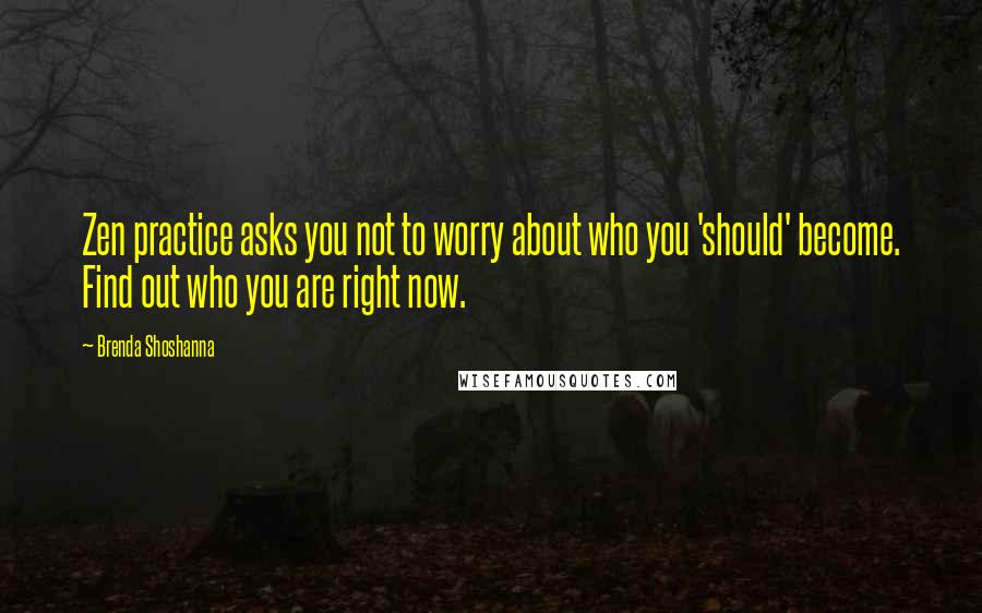 Brenda Shoshanna quotes: Zen practice asks you not to worry about who you 'should' become. Find out who you are right now.