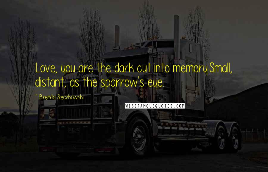 Brenda Sieczkowski quotes: Love, you are the dark cut into memory.Small, distant, as the sparrow's eye.