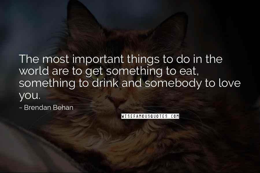 Brendan Behan quotes: The most important things to do in the world are to get something to eat, something to drink and somebody to love you.