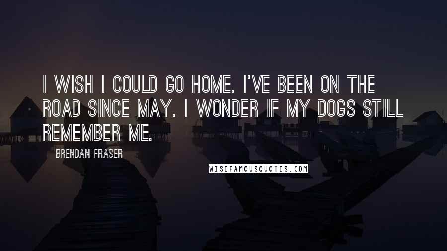 Brendan Fraser quotes: I wish I could go home. I've been on the road since May. I wonder if my dogs still remember me.