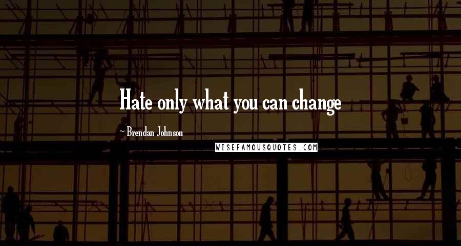 Brendan Johnson quotes: Hate only what you can change