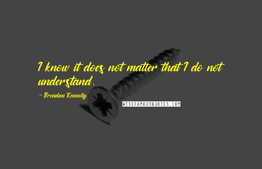 Brendan Kennelly quotes: I know it does not matter that I do not understand.