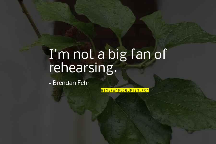 Brendan's Quotes By Brendan Fehr: I'm not a big fan of rehearsing.