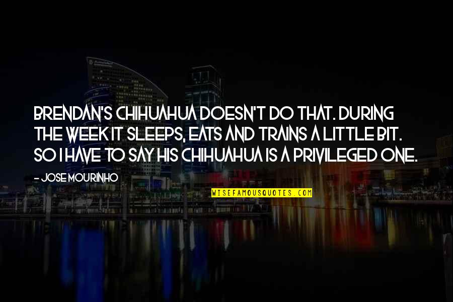 Brendan's Quotes By Jose Mourinho: Brendan's chihuahua doesn't do that. During the week