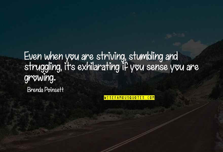 Brenda's Quotes By Brenda Poinsett: Even when you are striving, stumbling and struggling,