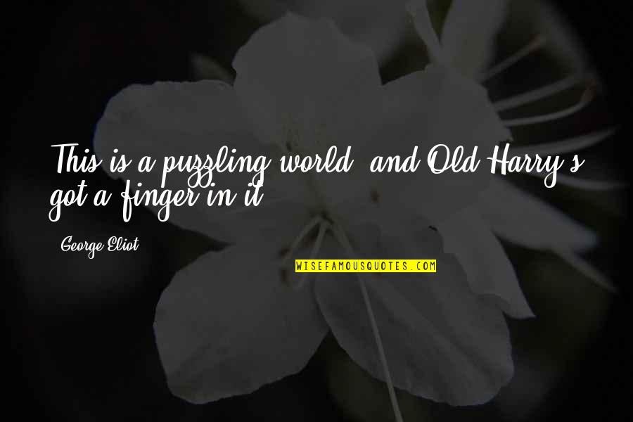 Brendlinger Quotes By George Eliot: This is a puzzling world, and Old Harry's