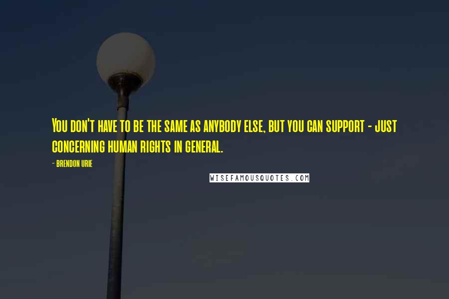 Brendon Urie quotes: You don't have to be the same as anybody else, but you can support - just concerning human rights in general.