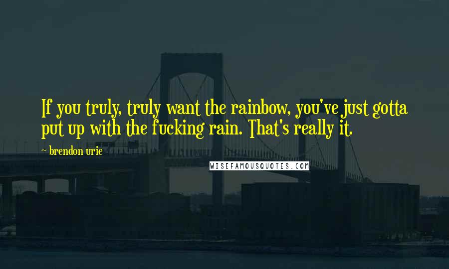 Brendon Urie quotes: If you truly, truly want the rainbow, you've just gotta put up with the fucking rain. That's really it.