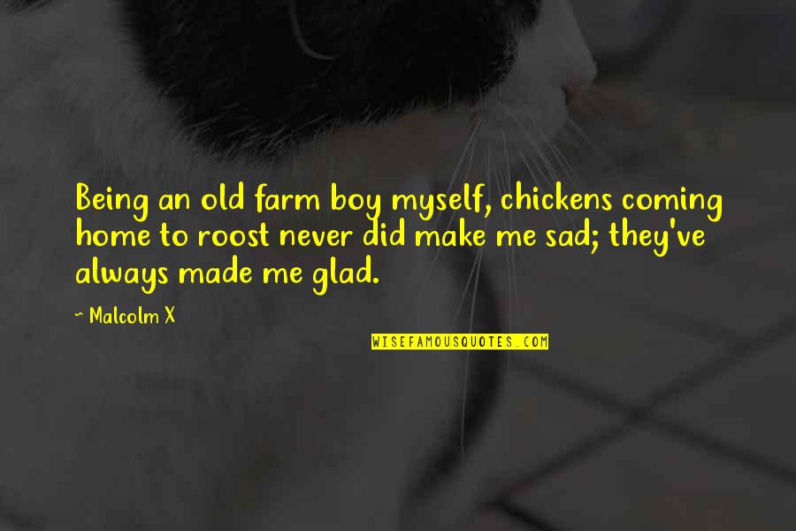 Brenneckes Beach Quotes By Malcolm X: Being an old farm boy myself, chickens coming