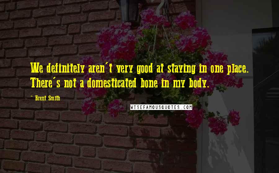 Brent Smith quotes: We definitely aren't very good at staying in one place. There's not a domesticated bone in my body.