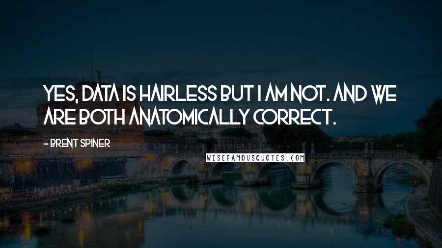 Brent Spiner quotes: Yes, Data is hairless but I am not. And we are both anatomically correct.