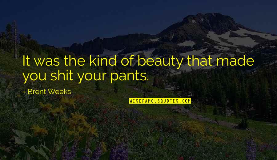 Brent Weeks Quotes By Brent Weeks: It was the kind of beauty that made