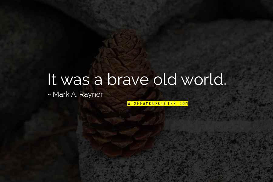 Bresolin Sagl Quotes By Mark A. Rayner: It was a brave old world.