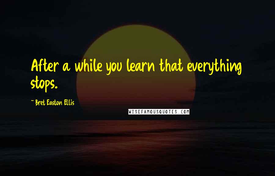 Bret Easton Ellis quotes: After a while you learn that everything stops.
