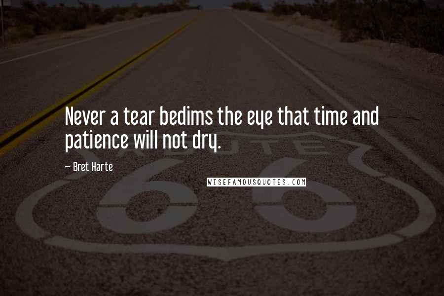 Bret Harte quotes: Never a tear bedims the eye that time and patience will not dry.