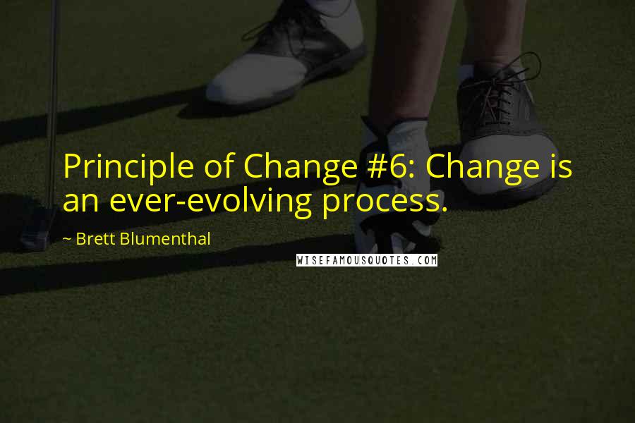 Brett Blumenthal quotes: Principle of Change #6: Change is an ever-evolving process.