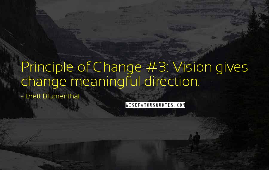 Brett Blumenthal quotes: Principle of Change #3: Vision gives change meaningful direction.