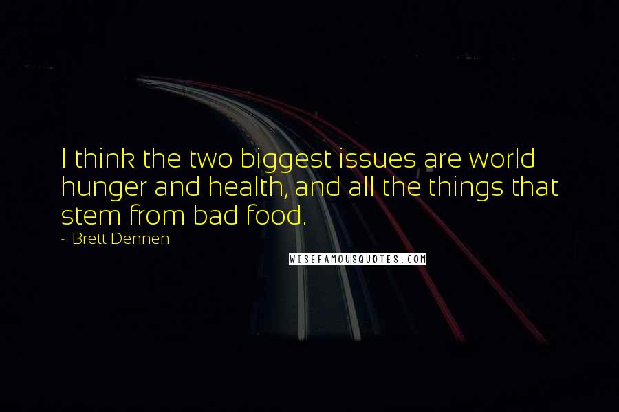 Brett Dennen quotes: I think the two biggest issues are world hunger and health, and all the things that stem from bad food. Brett Dennen quotes: I think the two biggest issues are world hunger and health, and all the things that stem from bad food.