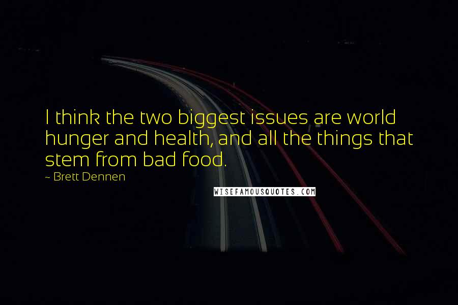 Brett Dennen quotes: I think the two biggest issues are world hunger and health, and all the things that stem from bad food.