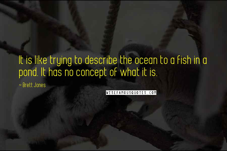 Brett Jones quotes: It is like trying to describe the ocean to a fish in a pond. It has no concept of what it is.