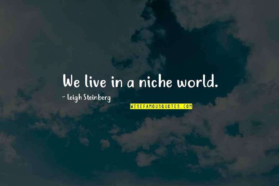 Brettler Joy Quotes By Leigh Steinberg: We live in a niche world. Brettler Joy Quotes By Leigh Steinberg: We live in a niche world.