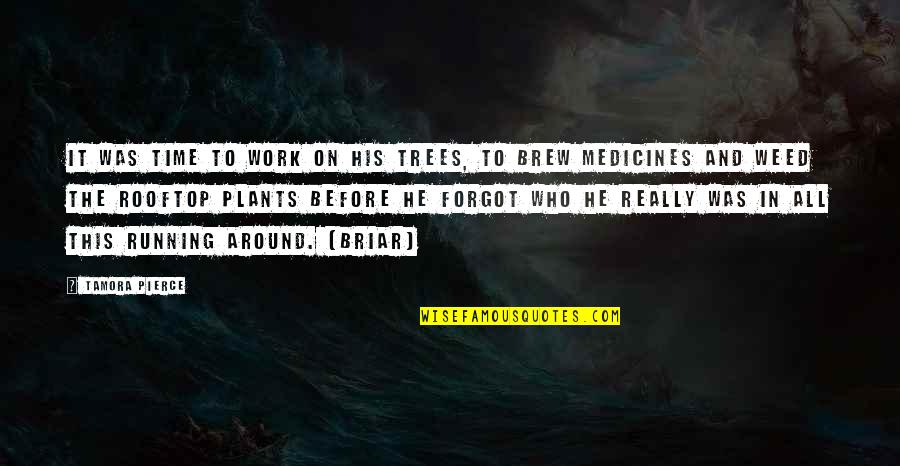 Brew Quotes By Tamora Pierce: It was time to work on his trees,