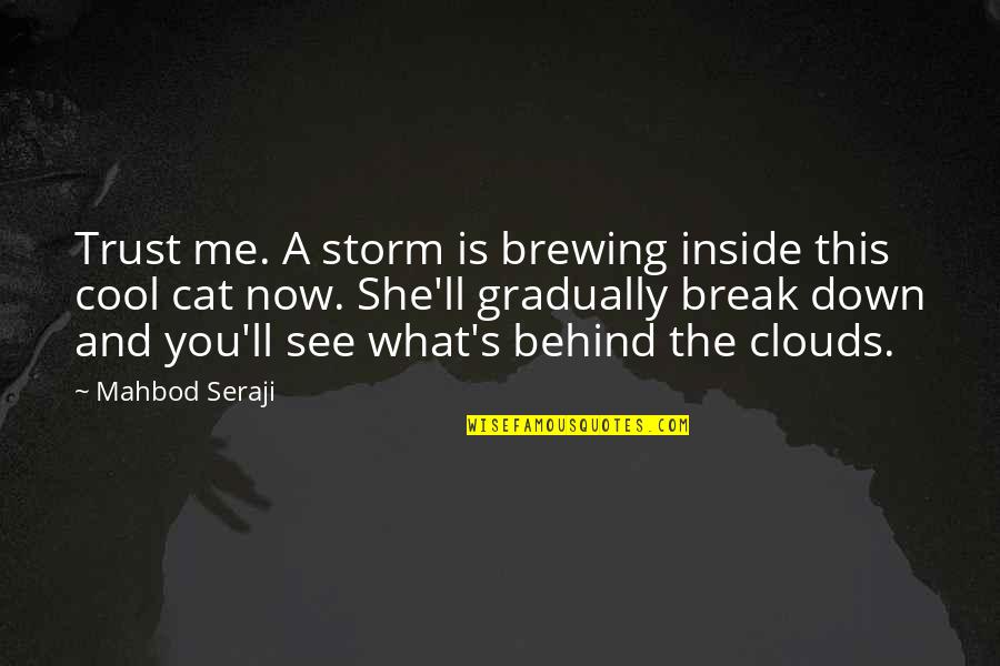 Brewing Quotes By Mahbod Seraji: Trust me. A storm is brewing inside this