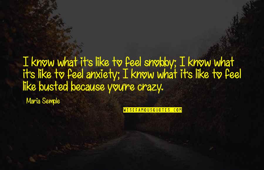 Breyer Quote Quotes By Maria Semple: I know what it's like to feel snobby; Breyer Quote Quotes By Maria Semple: I know what it's like to feel snobby;