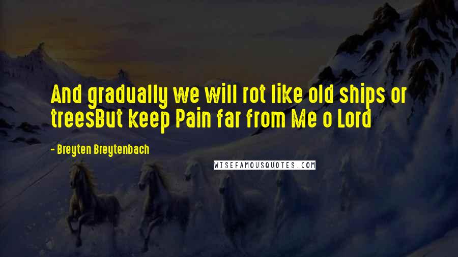 Breyten Breytenbach quotes: And gradually we will rot like old ships or treesBut keep Pain far from Me o Lord