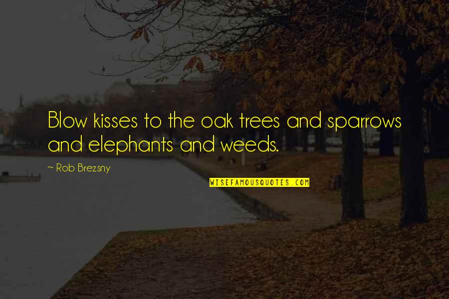 Brezsny Quotes By Rob Brezsny: Blow kisses to the oak trees and sparrows