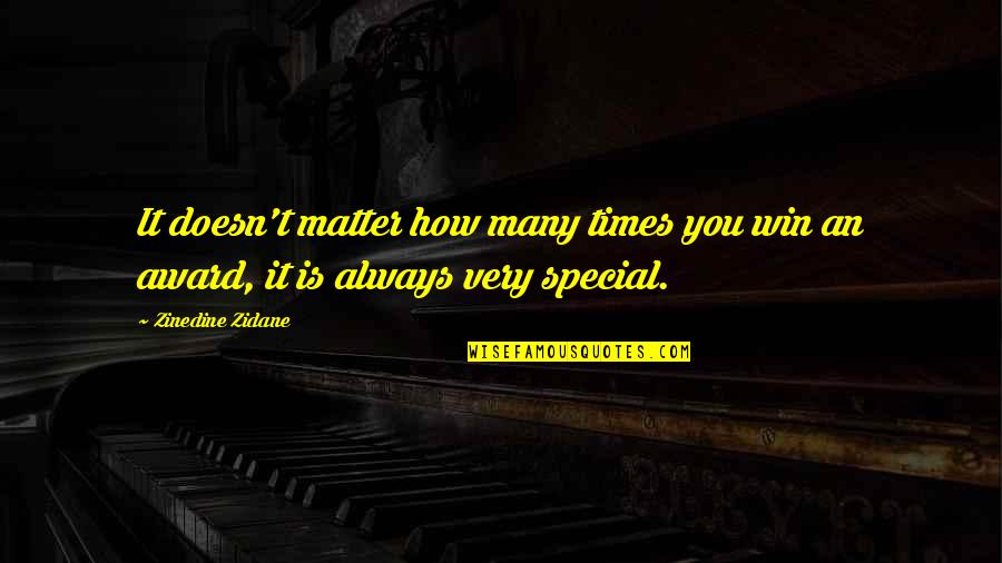 Brezza Quotes By Zinedine Zidane: It doesn't matter how many times you win