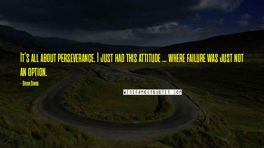 Brian Binnie quotes: It's all about perseverance. I just had this attitude ... where failure was just not an option.