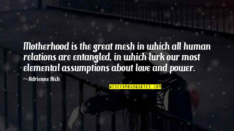 Brian Burke Quotes By Adrienne Rich: Motherhood is the great mesh in which all