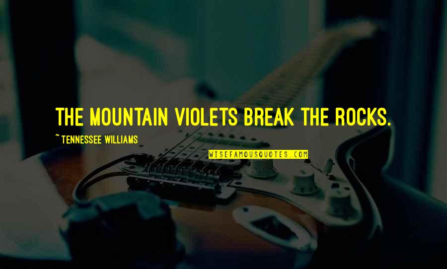 Brian Burke Quotes By Tennessee Williams: The mountain violets break the rocks.