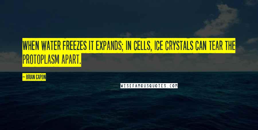 Brian Capon quotes: When water freezes it expands; in cells, ice crystals can tear the protoplasm apart.
