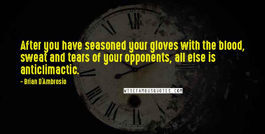 Brian D'Ambrosio quotes: After you have seasoned your gloves with the blood, sweat and tears of your opponents, all else is anticlimactic.