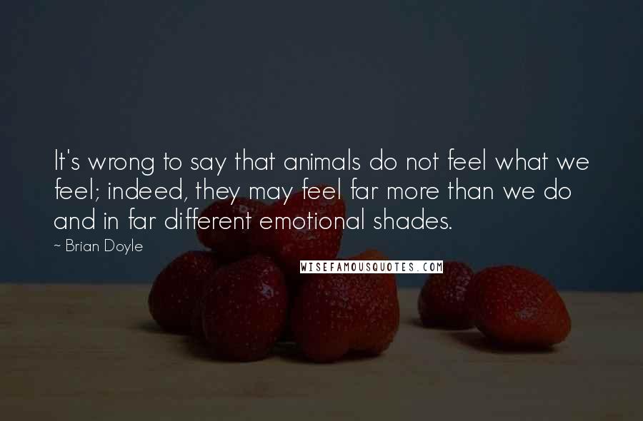 Brian Doyle quotes: It's wrong to say that animals do not feel what we feel; indeed, they may feel far more than we do and in far different emotional shades.