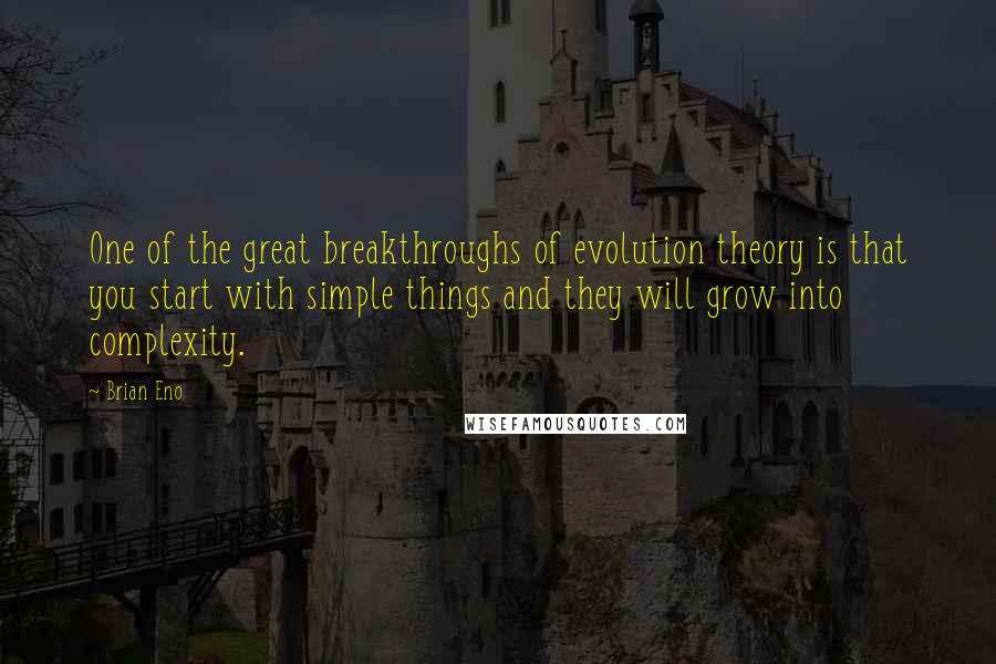 Brian Eno quotes: One of the great breakthroughs of evolution theory is that you start with simple things and they will grow into complexity.