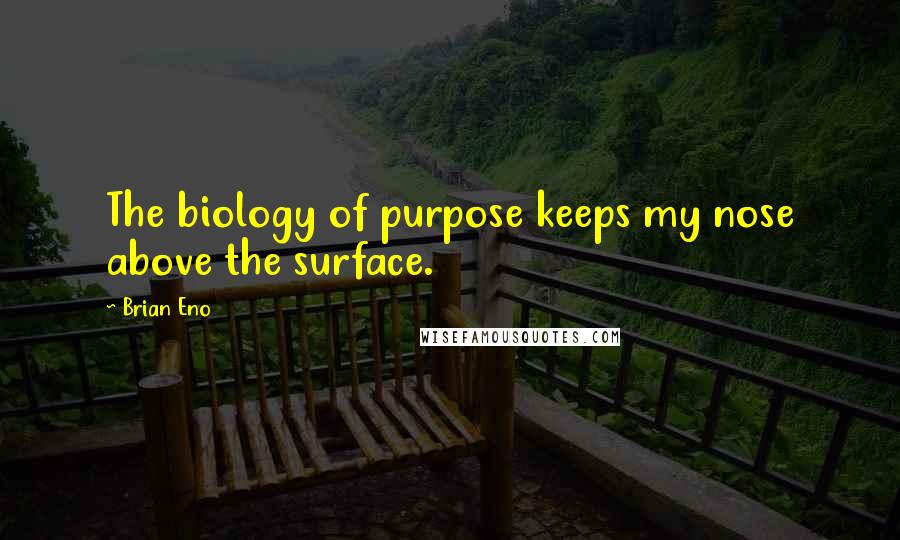 Brian Eno quotes: The biology of purpose keeps my nose above the surface.