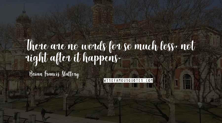 Brian Francis Slattery quotes: There are no words for so much loss, not right after it happens.
