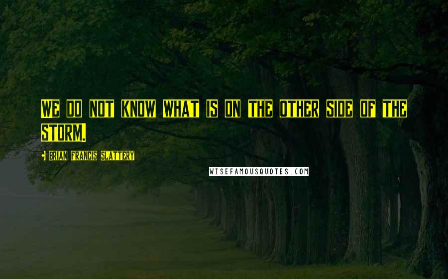 Brian Francis Slattery quotes: We do not know what is on the other side of the storm.