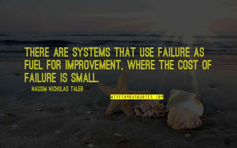 Brian Goldner Quotes By Nassim Nicholas Taleb: There are systems that use failure as fuel