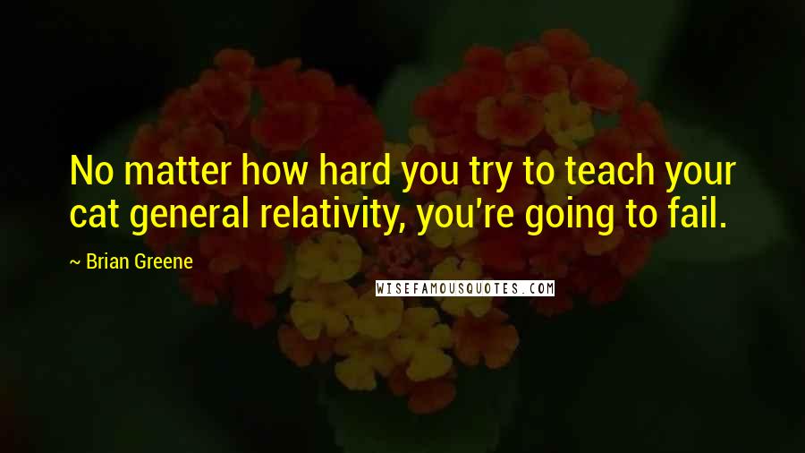 Brian Greene quotes: No matter how hard you try to teach your cat general relativity, you're going to fail.