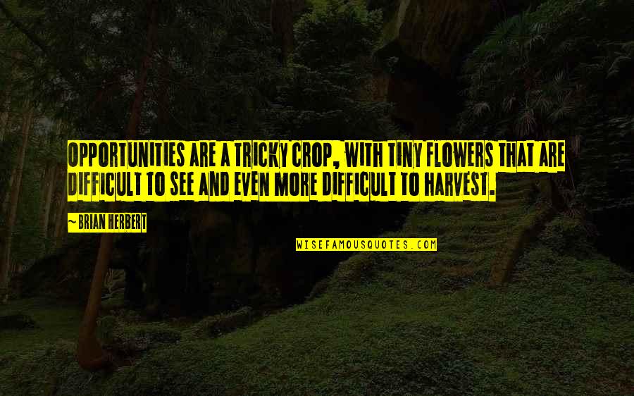 Brian Herbert Quotes By Brian Herbert: Opportunities are a tricky crop, with tiny flowers