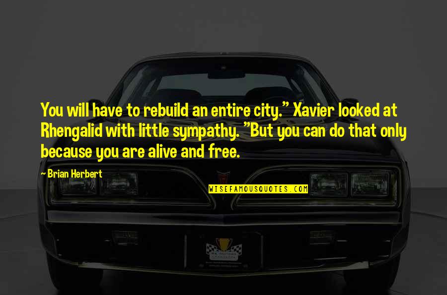 Brian Herbert Quotes By Brian Herbert: You will have to rebuild an entire city."