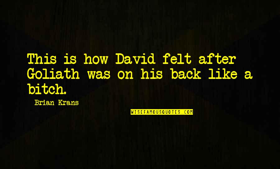 Brian Krans Quotes By Brian Krans: This is how David felt after Goliath was