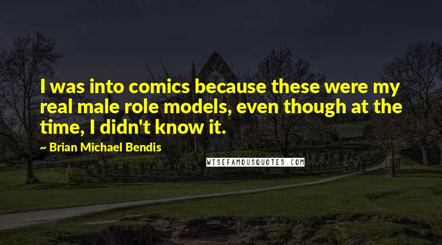 Brian Michael Bendis quotes: I was into comics because these were my real male role models, even though at the time, I didn't know it.