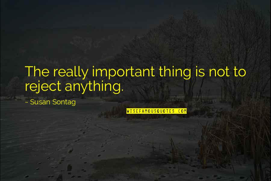Brian Regan Quote Quotes By Susan Sontag: The really important thing is not to reject