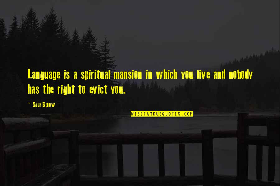 Brian Setzer Quotes By Saul Bellow: Language is a spiritual mansion in which you